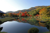 天龍寺の秋