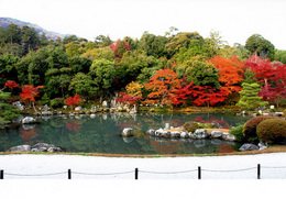 曹源池庭園