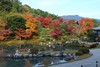 天龍寺の秋