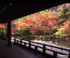 天龍寺の秋