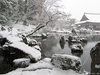 天龍寺の冬