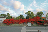 天龍寺の秋